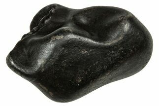 Fusion Crusted Sikhote-Alin Iron Meteorite ( g) - Russia #334532