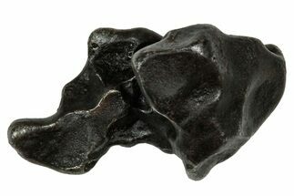 Fusion Crusted Sikhote-Alin Iron Meteorite ( g) - Russia #334552