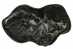 Sikhote-Alin Iron Meteorites For Sale - FossilEra.com