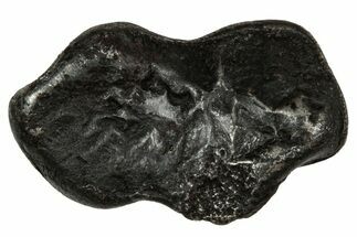 Fusion Crusted Sikhote-Alin Iron Meteorite ( g) - Russia #334564