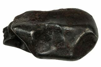 Fusion Crusted Sikhote-Alin Iron Meteorite ( g) - Russia #334571