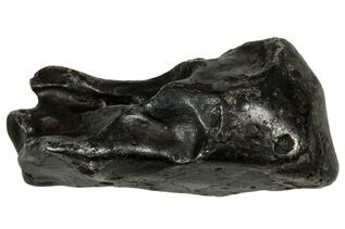 Sikhote-Alin Meteorites For Sale
