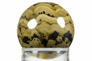 Polished Schalenblende Sphere - Poland #336531