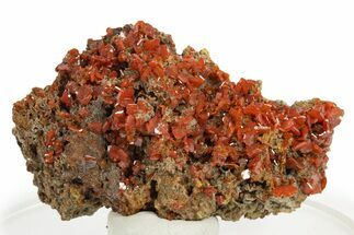 Fiery Red Wulfenite Crystal Cluster - Kuruktag Mountains, China #337087