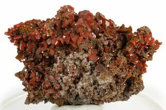 Fiery Red Wulfenite Crystal Cluster - Kuruktag Mountains, China #337089