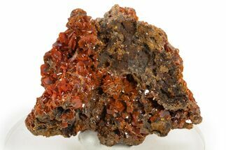 Fiery Red Wulfenite Crystal Cluster - Kuruktag Mountains, China #337090
