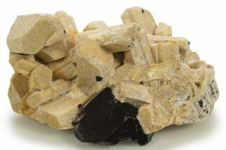 Orthoclase Crystal Cluster with Lustrous Schorl - Namibia #337069