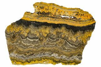 Polished Bumblebee Jasper Slab - Indonesia #336969