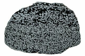 Polished Snowflake Obsidian Slab - Wyoming #336973
