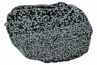Polished Snowflake Obsidian Slab - Wyoming #336976