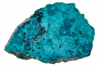 Vibrant Chrysocolla and Shattuckite Section - Mexico #337048