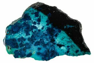 Vibrant Chrysocolla and Shattuckite Section - Mexico #337053