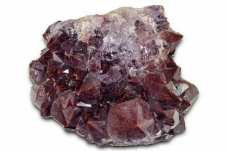Thunder Bay Amethyst Cluster with Hematite - Top Quality Color! #337173