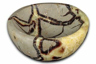 Polished Septarian Dish - Madagascar #337216