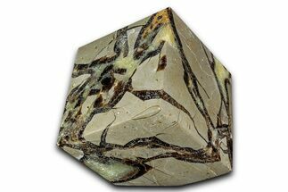 Wide Polished Septarian Cube - Madagascar #337272