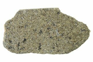 Martian Shergottite Meteorite ( g) Slice - NWA #337589