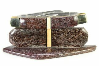 Pocket Knife w/ Fossil Gembone & Mammoth Tusk Inlays & Base #337598