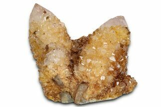 Sunshine Cactus Quartz/Amethyst Crystal Cluster - South Africa #337640