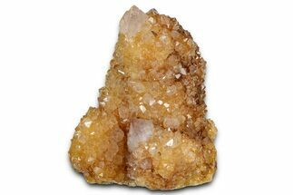 Sunshine Cactus Quartz/Amethyst Crystal Cluster - South Africa #337641