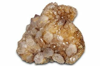 Sunshine Cactus Quartz/Amethyst Crystal Cluster - South Africa #337647