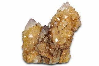 Sunshine Cactus Quartz/Amethyst Crystal Cluster - South Africa #337649