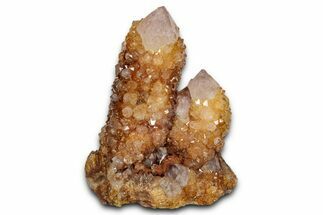 Sunshine Cactus Quartz/Amethyst Crystal Cluster - South Africa #337652