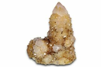 Sunshine Cactus Quartz Crystal Cluster - South Africa #337662