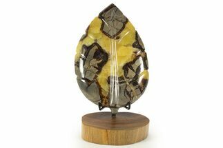 Polished Septarian Leaf with Stand - Madagascar #337671