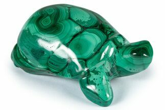 Flowery, Malachite Turtle Carving - DR Congo #337805