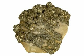 Golden Pyrite on Limonite Clay - Pakistan #337947