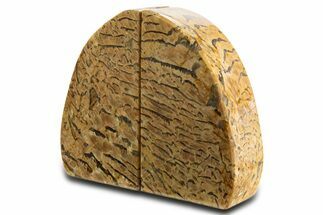 Polished Graphic Feldspar Bookends - Madagascar #338363