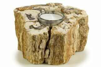 Polished Petrified Wood Candle Holder - Madagascar #338393