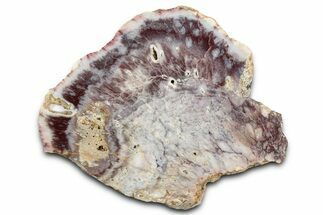 Polished Colorful Agate Slab #338149