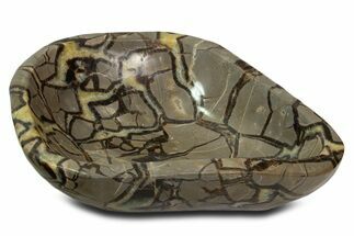 Large, Polished Septarian Bowl - Madagascar #339302