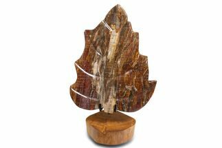 Polished Petrified Wood (Araucaria) Leaf with Stand - Madagascar #339448
