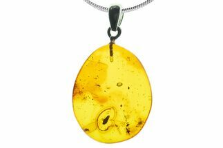 Polished Baltic Amber Pendant (Necklace) - Flies & Beetle! #339493