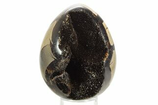 Septarian Dragon Egg Geode - Sparkly Black Crystals #336456