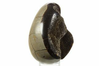 Septarian Dragon Egg Geode - Sparkly Black Crystals #336466