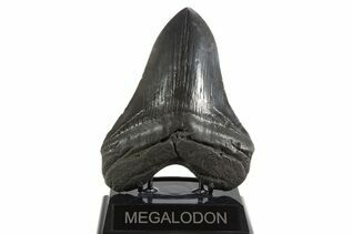 Recently Added For Sale