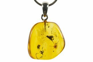 Polished Baltic Amber Pendant (Necklace) - Spider & Fly! #339502