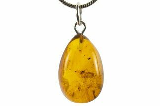 Polished Baltic Amber Pendant (Necklace) - Contains Wasp & Fly! #339522