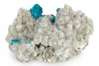Vibrant Blue Cavansite Crystals on Sparkling Stilbite - India #340991