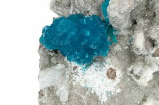 Vibrant Blue Cavansite Crystals on Sparkling Stilbite - India #340998