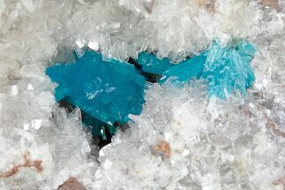 Vibrant Blue Cavansite Crystals on Sparkling Stilbite - India #341001