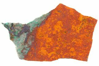 Vibrant Sonora Sunset (Chrysocolla Cuprite) Slab - Mexico #337447