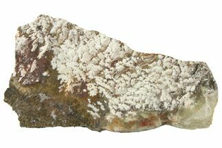 Polished Snow Plume Agate Slab - Mexico #338145