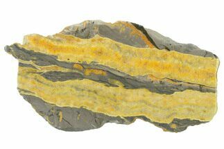 Polished Bumblebee Jasper Slab - Indonesia #338306