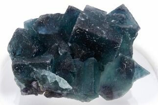 Blue-Purple Cubic Fluorite Crystal Cluster - Okorusu Mine #341563