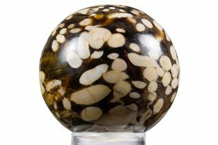 Premium Specimens For Sale