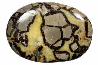 Gorgeous, Polished Septarian Stone - Madagascar #341867
